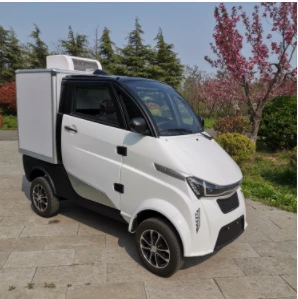Mini Electric Refrigerated Logistics Truck Light-duty Delivery Van With EEC DOT For European And American Markets Mini Electric Refrigerated Logistics Truck Light-duty Delivery Van With EEC DOT For European And American Markets