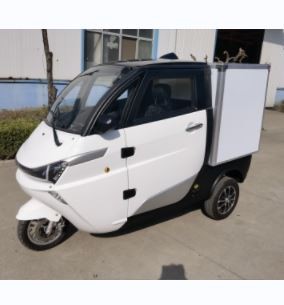 Mini Electric Truck Without Driving Licence Good Quality Closed Cargo Tricycle