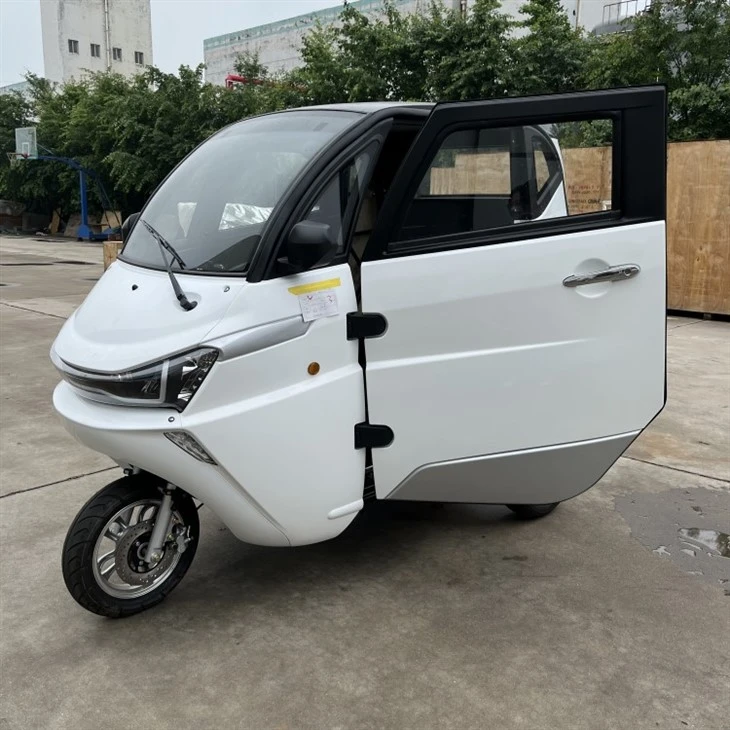 3 Wheel Tricycle EEC Travel Tools Three Wheel Electric Scooter 3 Wheel Tricycle EEC Travel Tools Three Wheel Electric Scooter