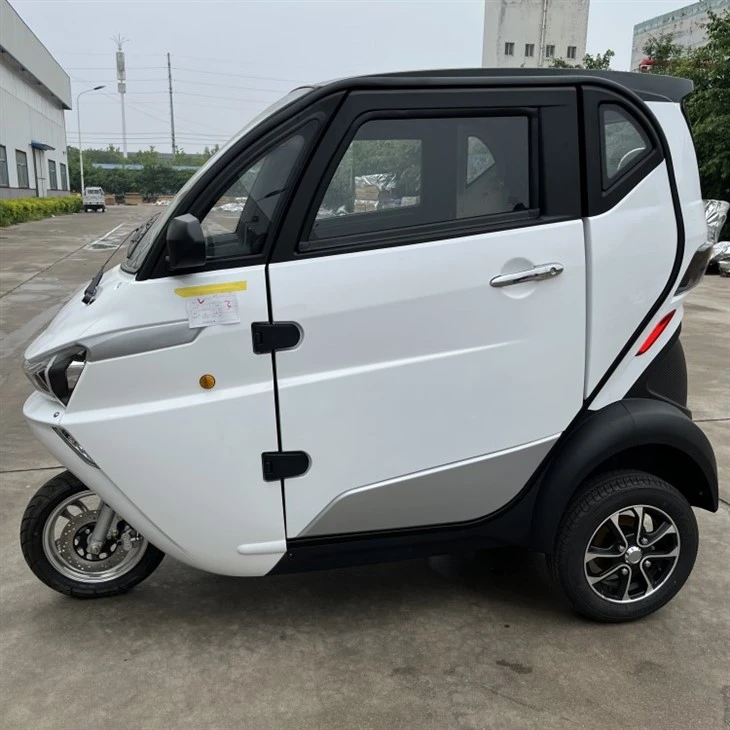 3 Wheel Tricycle EEC Travel Tools Three Wheel Electric Scooter 3 Wheel Tricycle EEC Travel Tools Three Wheel Electric Scooter
