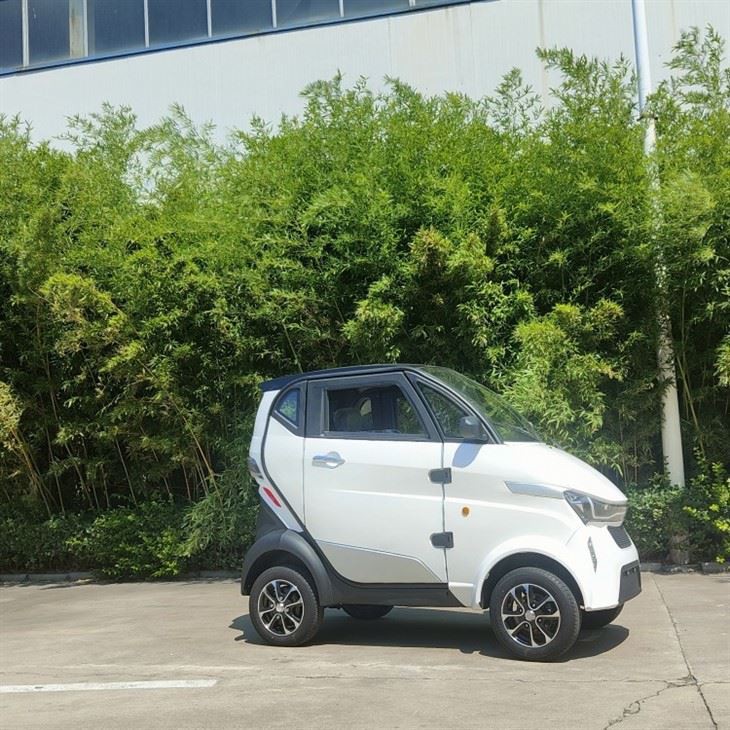 Runhorse E-mobility 4-wheel 100km-200km Mini Electric Car For Passenger