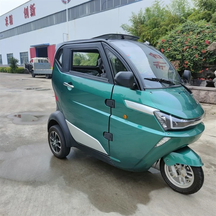 U.S. DOT Street Leagal 3-Wheel Type LSV Mini Electric Vehicle