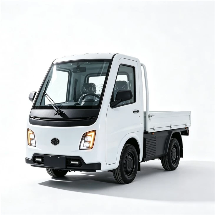 Mini EEC Travel Tools Three Wheel Electric Tricycle Scooter suppliers Mini EEC Travel Tools Three Wheel Electric Tricycle Scooter suppliers