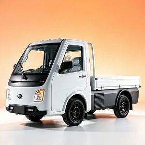 Mini EEC Travel Tools Three Wheel Electric Tricycle Scooter Mini EEC Travel Tools Three Wheel Electric Tricycle Scooter