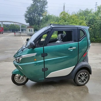 3 Wheel Tricycle EEC Travel Tools Three Wheel Electric Scooter 3 Wheel Tricycle EEC Travel Tools Three Wheel Electric Scooter